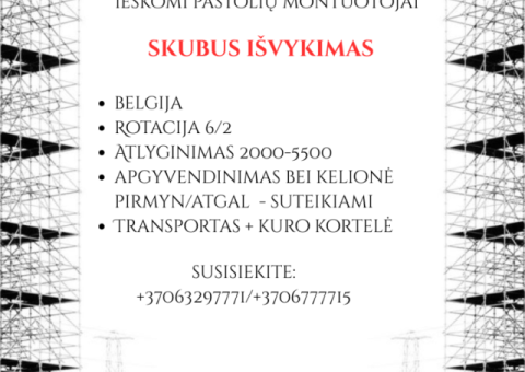 DARBAS UŽSIENYJE