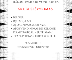 DARBAS UŽSIENYJE - 1/1
